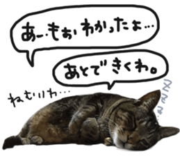 My cat Sticker.4 sticker #15083367