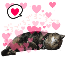 My cat Sticker.4 sticker #15083373