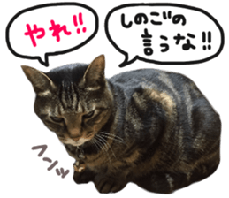 My cat Sticker.4 sticker #15083374