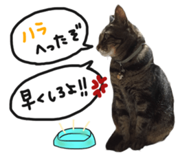 My cat Sticker.4 sticker #15083389