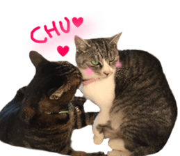 My cat Sticker.4 sticker #15083394