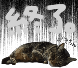 My cat Sticker.4 sticker #15083395