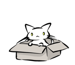 white cat&black cat sticker #15083537