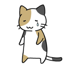 Sticker of cute five cats sticker #15083574