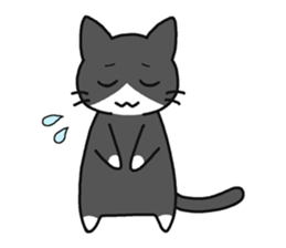 Sticker of cute five cats sticker #15083594