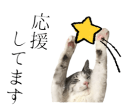 cat of cure Honorific expressions3 sticker #15084838