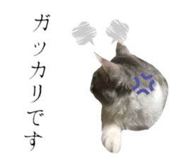 cat of cure Honorific expressions3 sticker #15084840