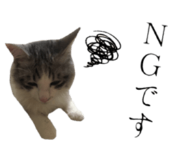cat of cure Honorific expressions3 sticker #15084844