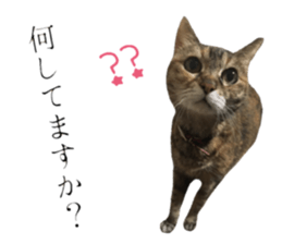 cat of cure Honorific expressions3 sticker #15084845