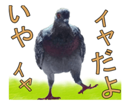 Birds is live action. sticker #15086188