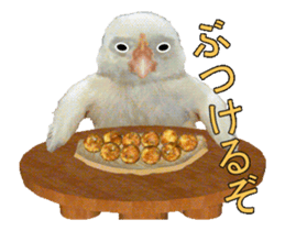 Birds is live action. sticker #15086189