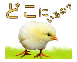 Birds is live action. sticker #15086190