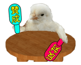 Birds is live action. sticker #15086192