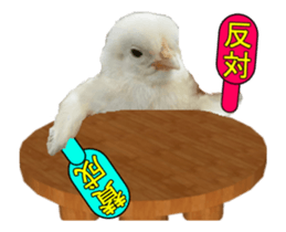 Birds is live action. sticker #15086193