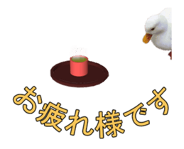 Birds is live action. sticker #15086195