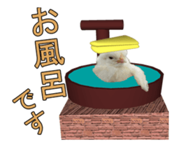 Birds is live action. sticker #15086203