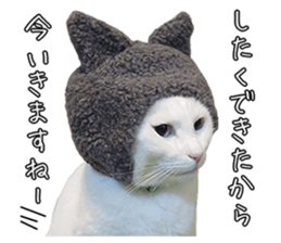 Russian Blue & White cat sticker #15087532