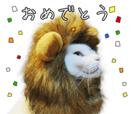 Russian Blue & White cat sticker #15087537