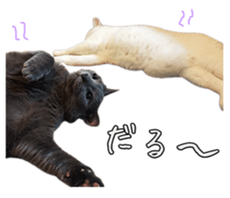 Russian Blue & White cat sticker #15087539