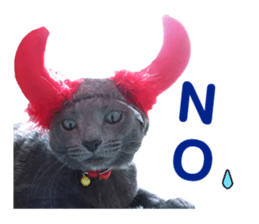 Russian Blue & White cat sticker #15087547