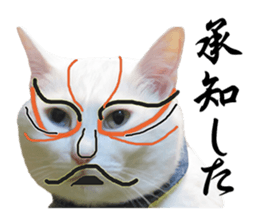 Russian Blue & White cat sticker #15087552