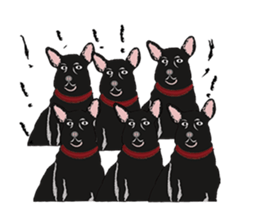 Little Pig Dog-Life Style sticker #15088167