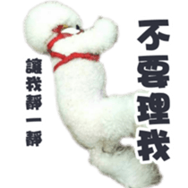 I Love Bichon Frise PART2 sticker #15089368
