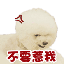 I Love Bichon Frise PART2 sticker #15089369