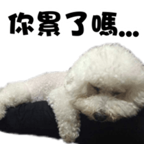 I Love Bichon Frise PART2 sticker #15089372