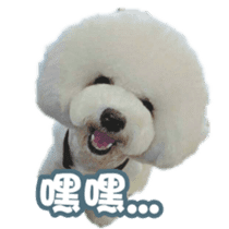 I Love Bichon Frise PART2 sticker #15089374