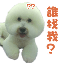 I Love Bichon Frise PART2 sticker #15089376
