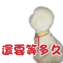 I Love Bichon Frise PART2 sticker #15089378