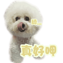 I Love Bichon Frise PART2 sticker #15089384
