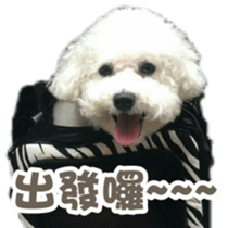 I Love Bichon Frise PART2 sticker #15089388