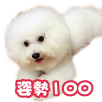 I Love Bichon Frise PART2 sticker #15089389