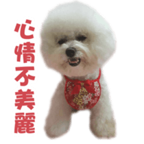 I Love Bichon Frise PART2 sticker #15089390