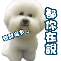 I Love Bichon Frise PART2 sticker #15089392
