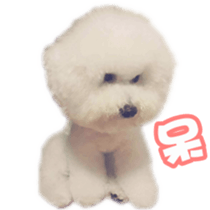 I Love Bichon Frise PART2 sticker #15089395