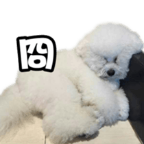 I Love Bichon Frise PART2 sticker #15089399