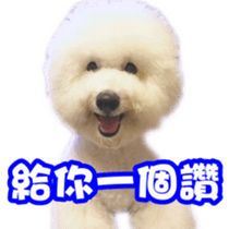 I Love Bichon Frise PART2 sticker #15089400