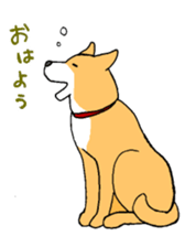 Close dog&cat Revise sticker #15089620