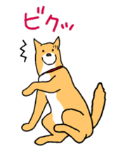 Close dog&cat Revise sticker #15089623