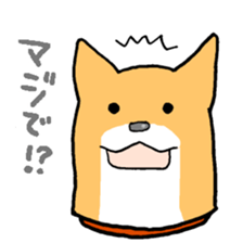 Close dog&cat Revise sticker #15089629