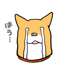 Close dog&cat Revise sticker #15089631