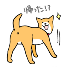 Close dog&cat Revise sticker #15089637