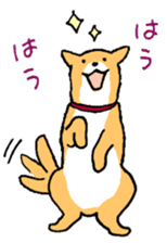 Close dog&cat Revise sticker #15089639