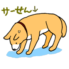 Close dog&cat Revise sticker #15089644