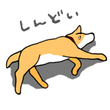 Close dog&cat Revise sticker #15089647