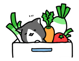 hacchan the kitten in motion! sticker #15089669