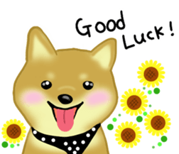 Love Love Shibainu ! [40] sticker #15092041